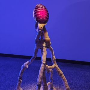 img27