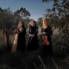img6