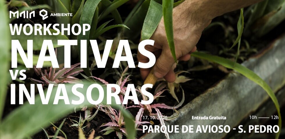 ws-nativas_banner_site