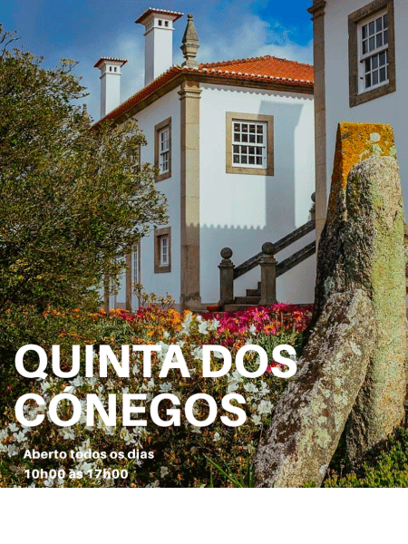 quinta-conegos