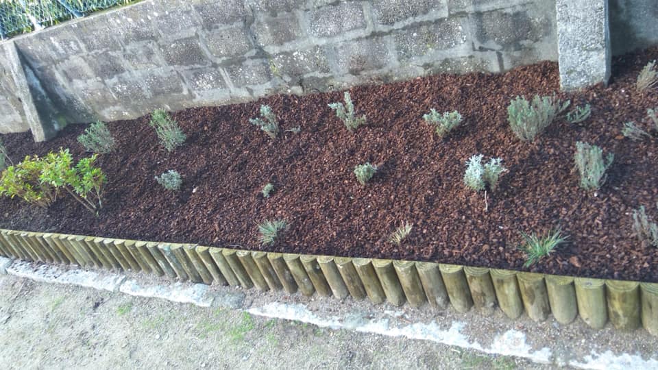 50958922_2055095401246673_54190366877810688_n