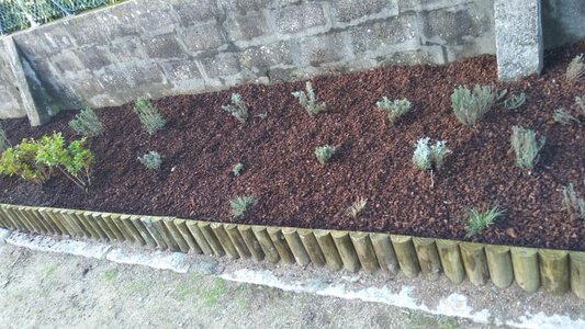 50958922_2055095401246673_54190366877810688_n